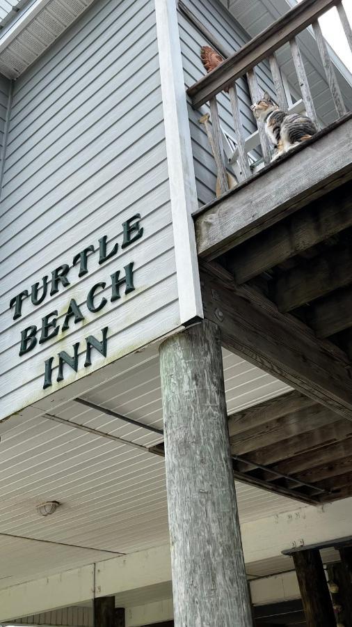 Turtle Beach Inn Indian Pass Luaran gambar